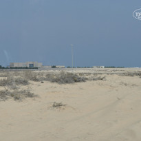 фото из отзыва ID 631274