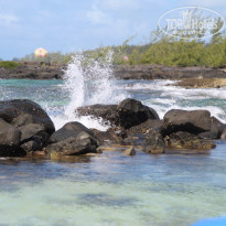 фото из отзыва ID 632473