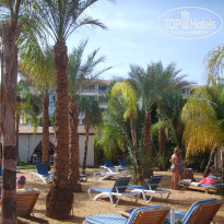 фото из отзыва ID 632703