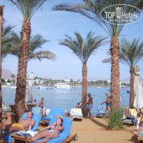 фото из отзыва ID 632703