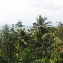 фото из отзыва ID 632887