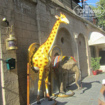 фото из отзыва ID 632896