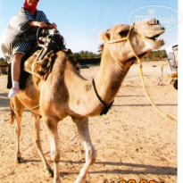 фото из отзыва ID 632937