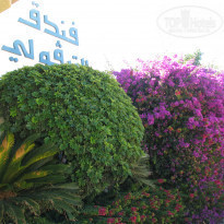 фото из отзыва ID 633010