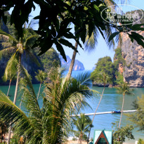 фото из отзыва ID 633060