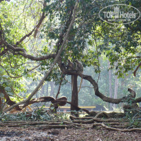 фото из отзыва ID 633125