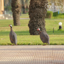 фото из отзыва ID 633225