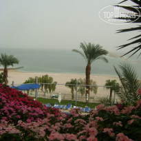 фото из отзыва ID 633228