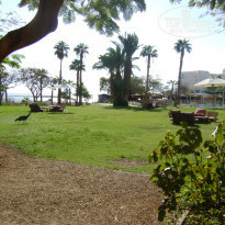 фото из отзыва ID 633293