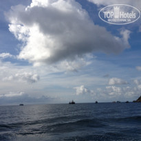 фото из отзыва ID 633235