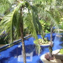 фото из отзыва ID 633521