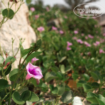 фото из отзыва ID 633715