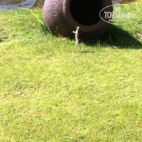 фото из отзыва ID 633160