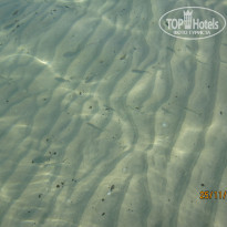 фото из отзыва ID 633981