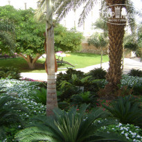 фото из отзыва ID 633278