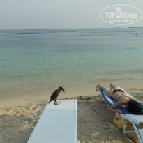 фото из отзыва ID 634082