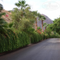 фото из отзыва ID 634086