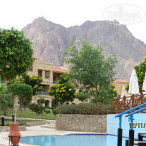 фото из отзыва ID 634343