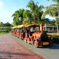 фото из отзыва ID 634458