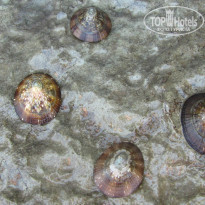 фото из отзыва ID 634439