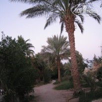 фото из отзыва ID 634862