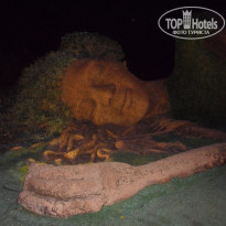 фото из отзыва ID 634996