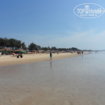 фото из отзыва ID 634996