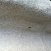 фото из отзыва ID 635157