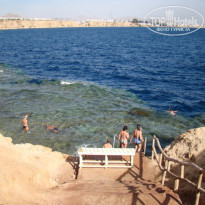 фото из отзыва ID 635422