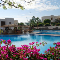 фото из отзыва ID 635422