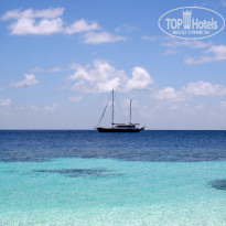 фото из отзыва ID 635452