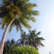 фото из отзыва ID 635472