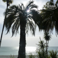 фото из отзыва ID 635477