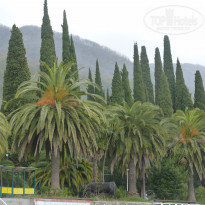 фото из отзыва ID 635477