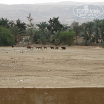 фото из отзыва ID 635645