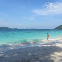 фото из отзыва ID 635668