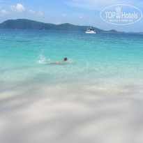 фото из отзыва ID 635668