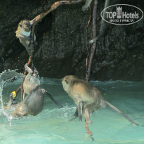 фото из отзыва ID 635668