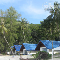 фото из отзыва ID 635668