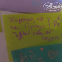 фото из отзыва ID 635668