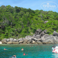 фото из отзыва ID 635844