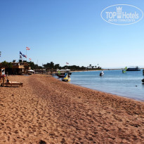 фото из отзыва ID 635868