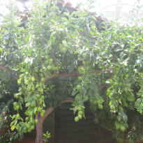 фото из отзыва ID 635901