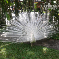 фото из отзыва ID 635928