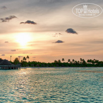 фото из отзыва ID 635985