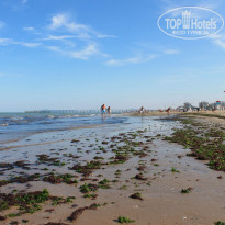 фото из отзыва ID 635388