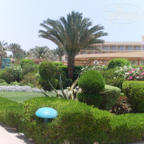 фото из отзыва ID 635558