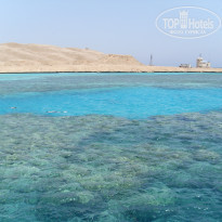 фото из отзыва ID 635558