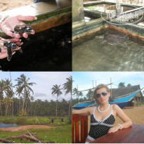 фото из отзыва ID 636030