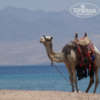 фото из отзыва ID 636041